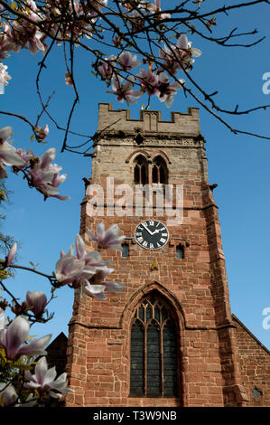 St. Peter`s Church in spring, Dunchurch, Warwickshire, England, UK Stock Photo